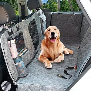 Pet Accessories