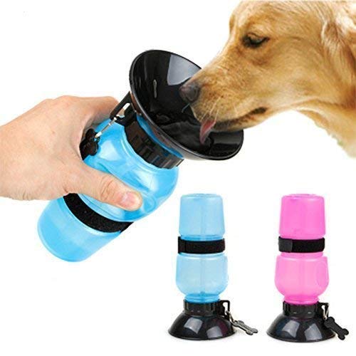 Pet Mug Water Bottle