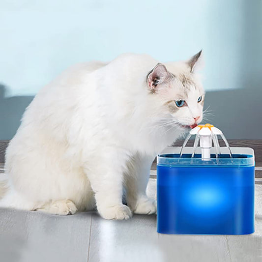 Pet Water Fountain