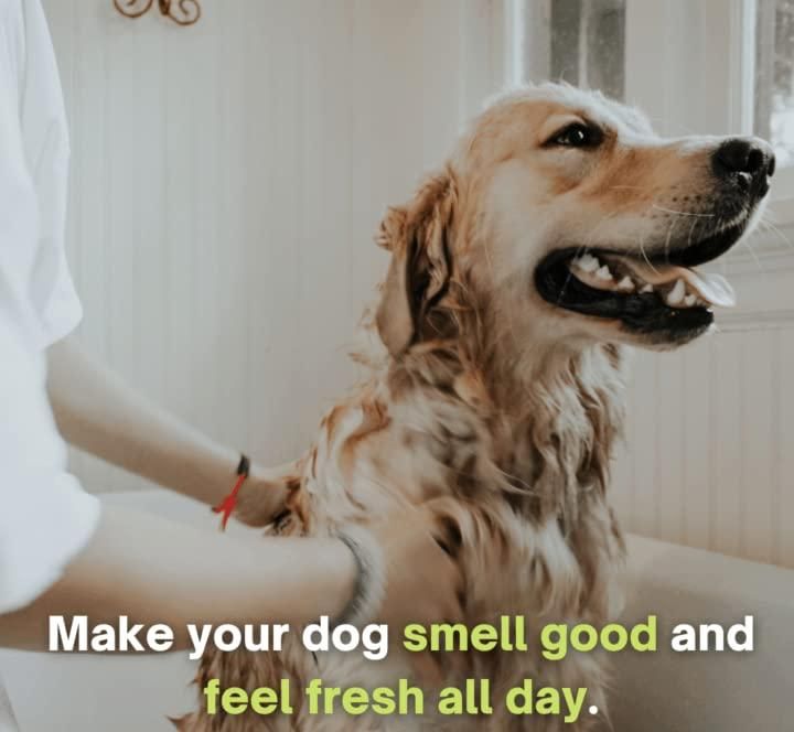 Anti-Itch Dog Shampoo 300ml Pack of 1