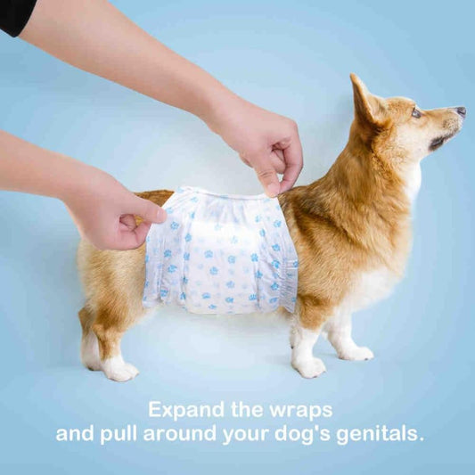 Disposable Pet Diapers
