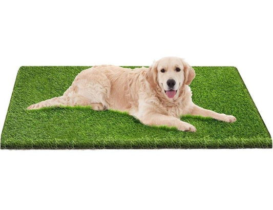 Artificial Grass Professional Dog Mat