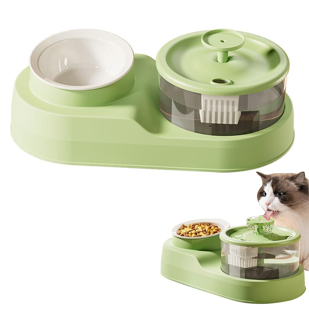 Pet Water Fountain with Bowl