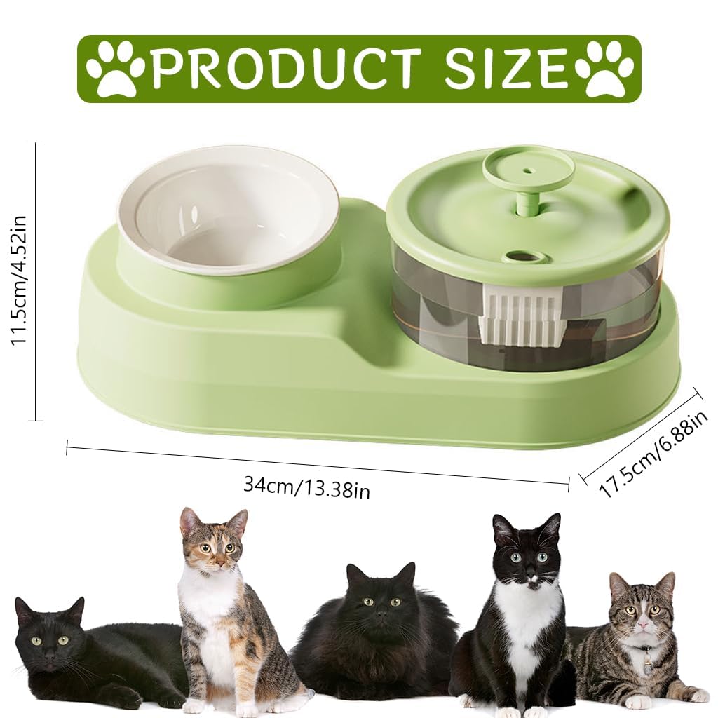 Pet Water Fountain with Bowl