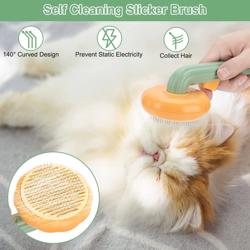 Pet Pumpkin Brush