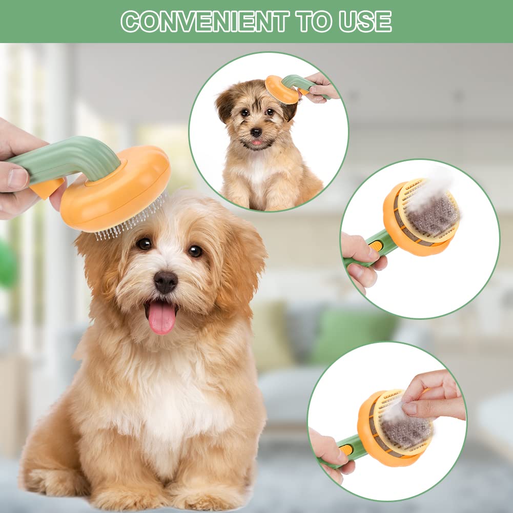Pet Pumpkin Brush