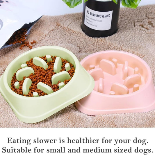 Slow Feeder Bowl