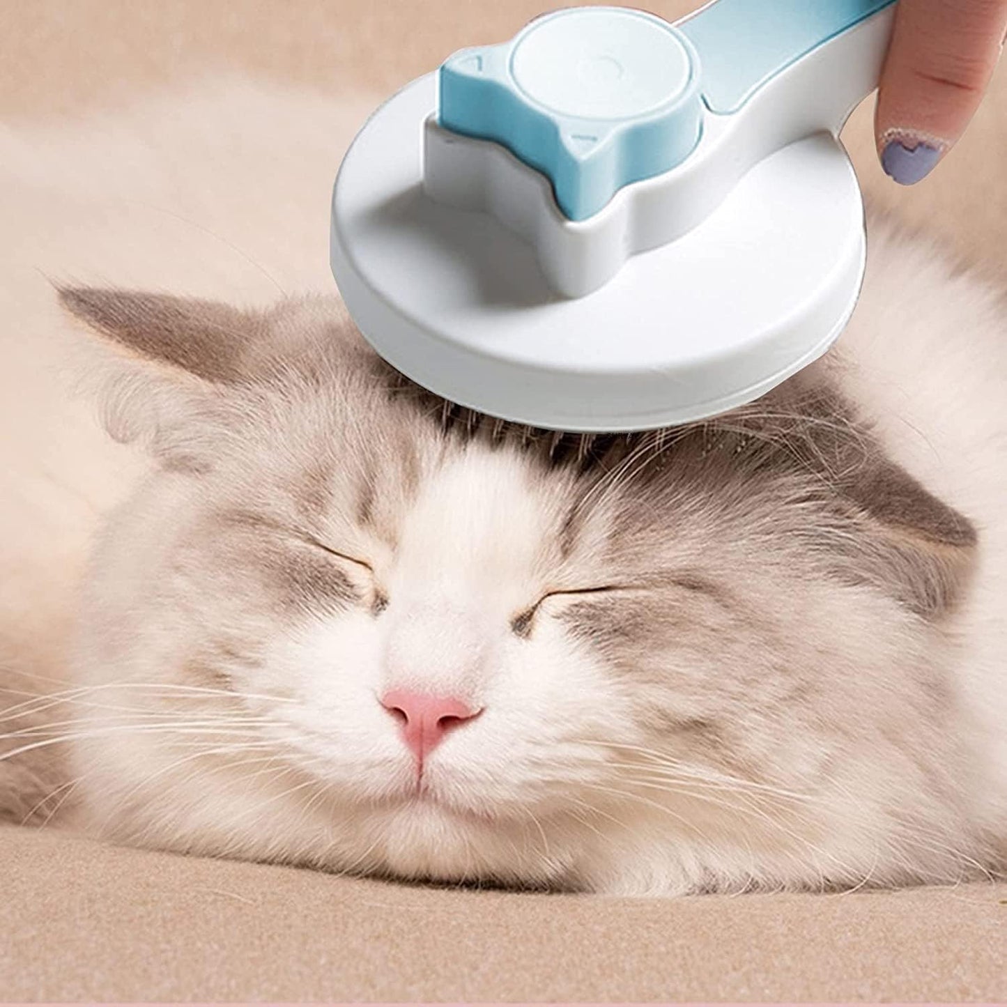 Pet Comb Brush