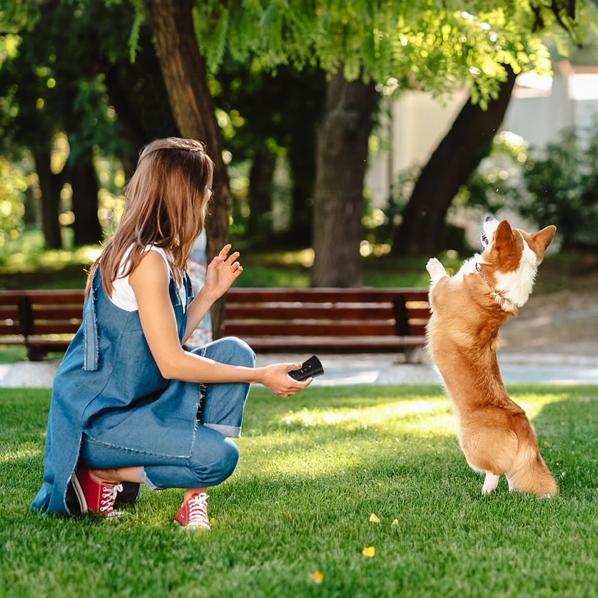 Ultrasonic Dog Chaser