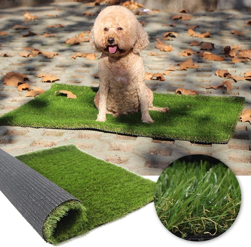 Artificial Grass Professional Dog Mat
