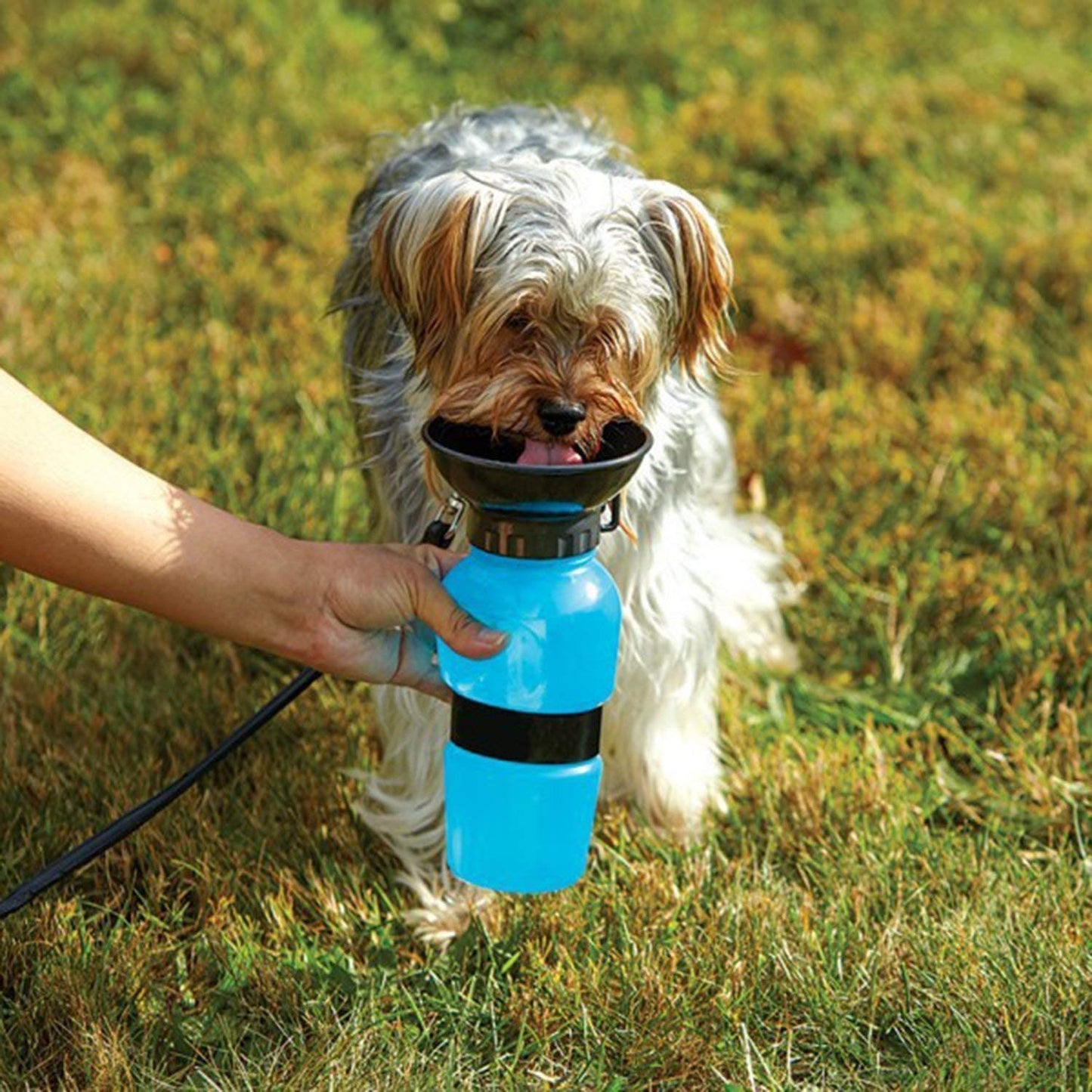 Pet Mug Water Bottle