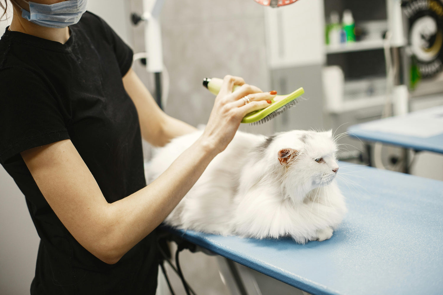 Pet Cleaning
