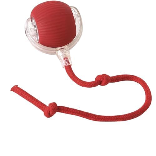 Pet Rolling Dancing Led Ball