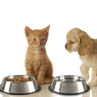 Stainless Steel Pet Feeding Bowl