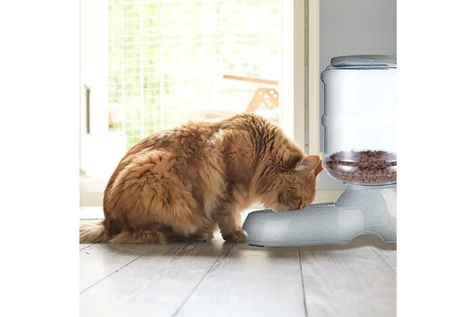 Pet Feeder Food Dispenser