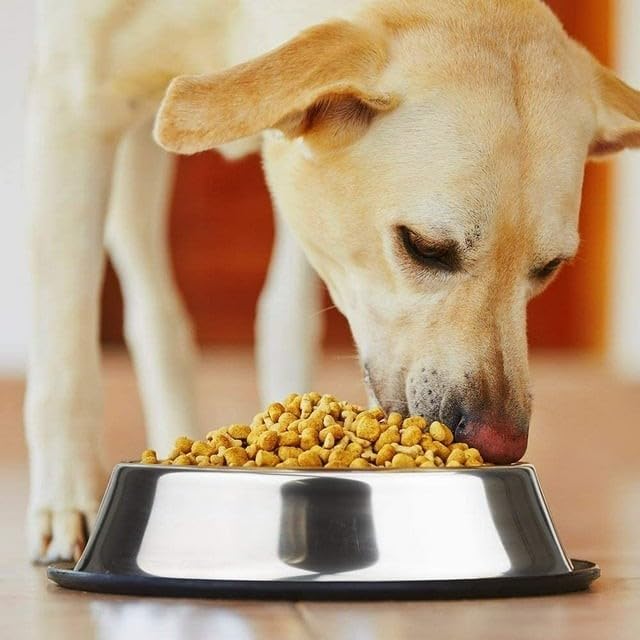Stainless Steel Pet Feeding Bowl