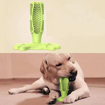 Dog Toothbrush Stick Dog Chew Tooth Cleaner
