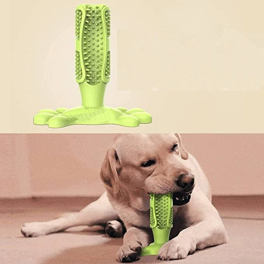 Dog Toothbrush Stick Dog Chew Tooth Cleaner