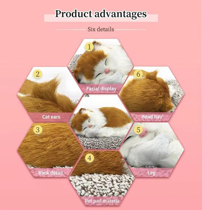 Sleeping Cat Toy