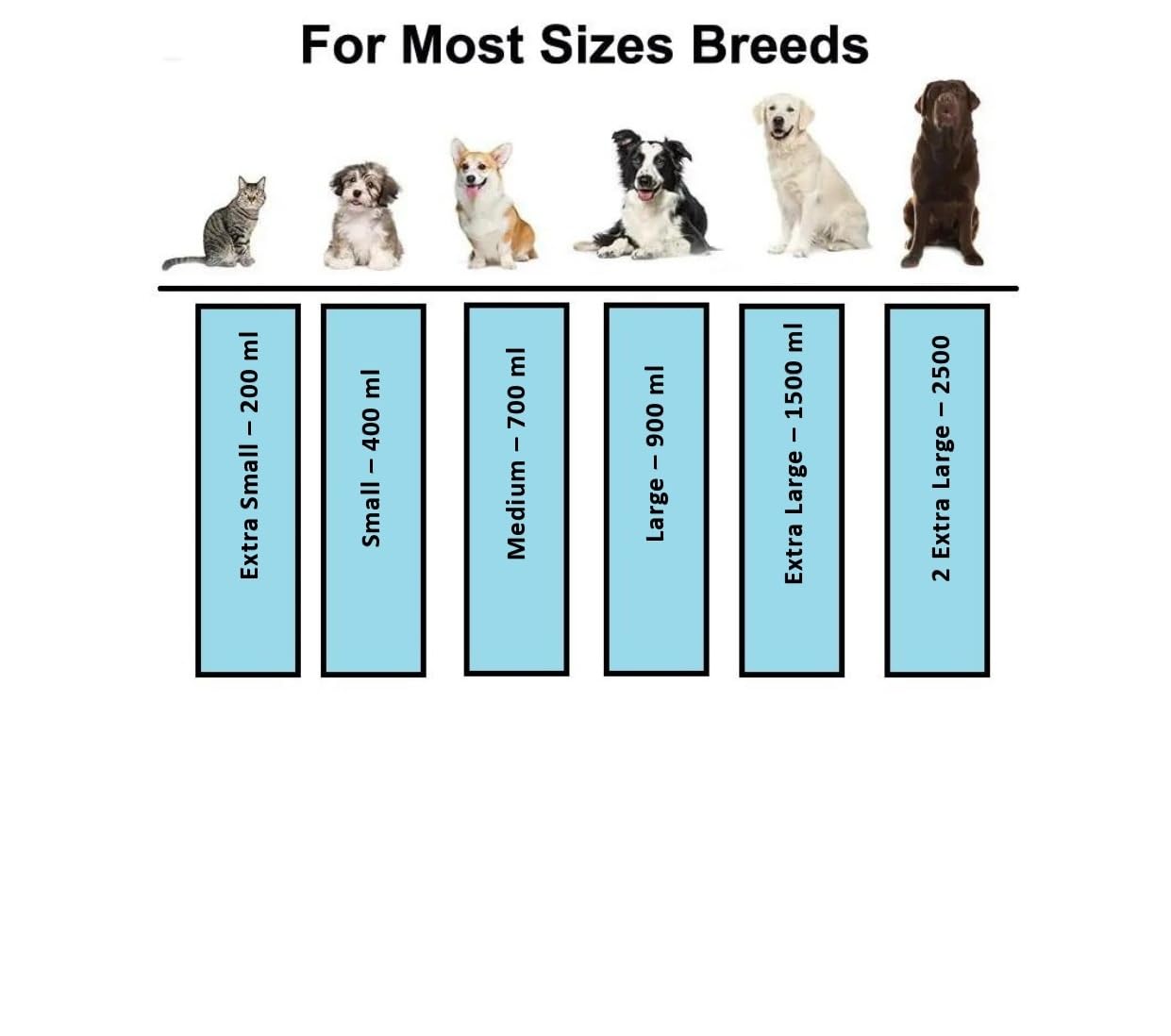 Stainless Steel Pet Feeding Bowl