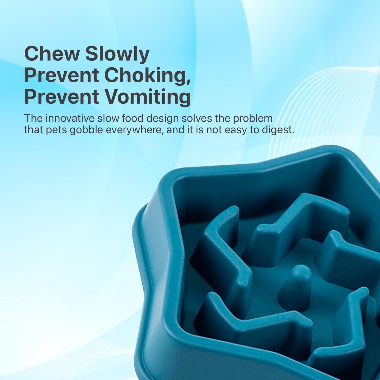 Slow Feeder Bowl