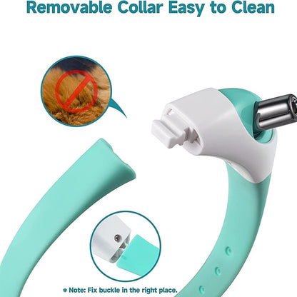 Cat Collar Toy with LED Lights