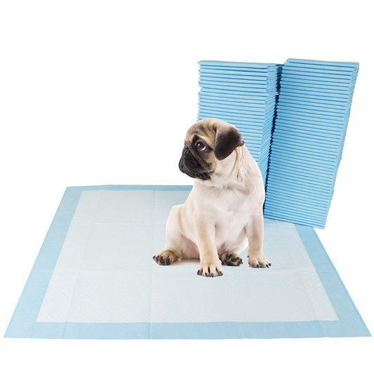 Pee & Potty Pet Training Pads