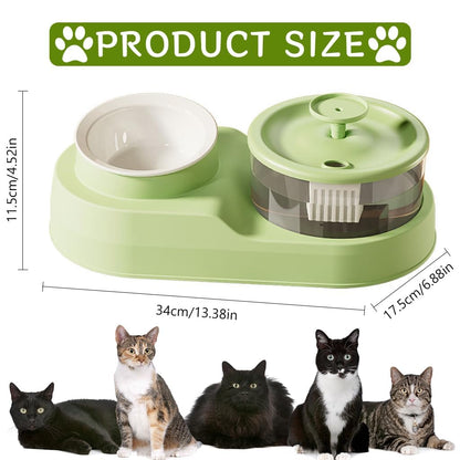 Pet Water Fountain with Bowl