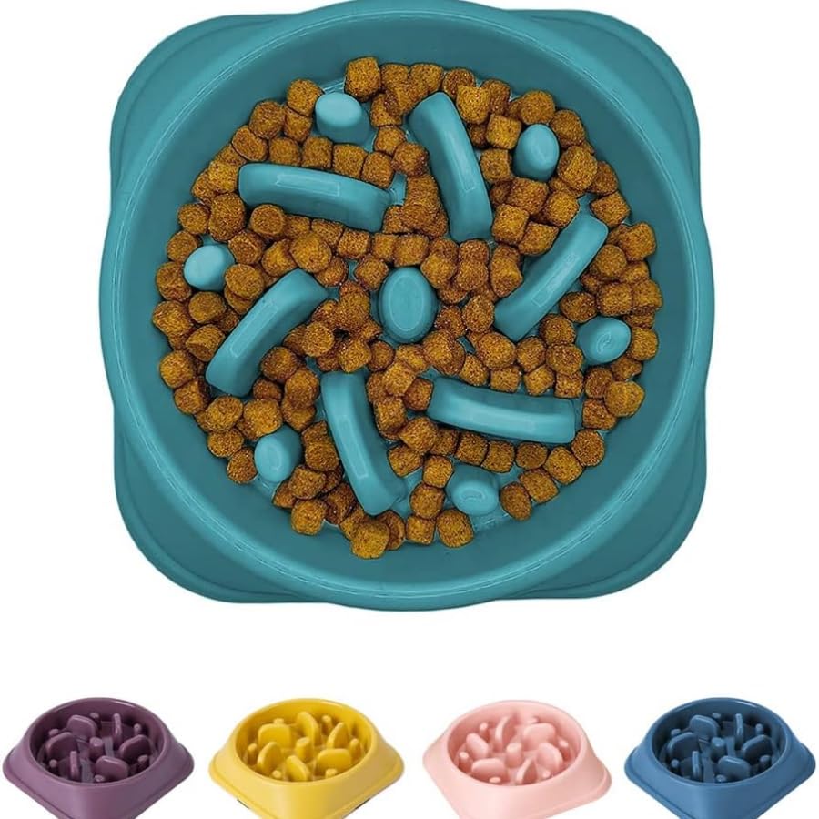 Slow Feeder Bowl