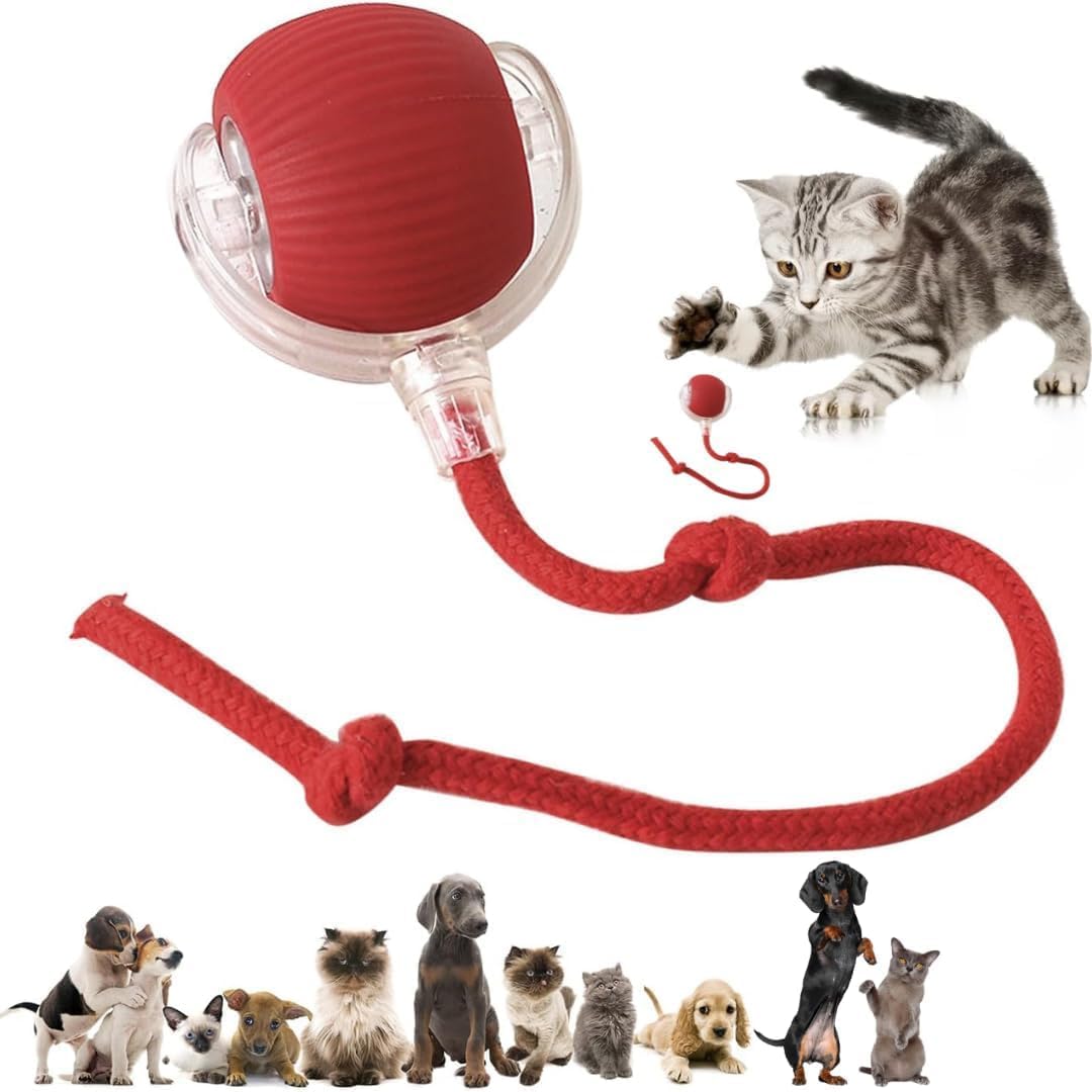 Pet Rolling Dancing Led Ball
