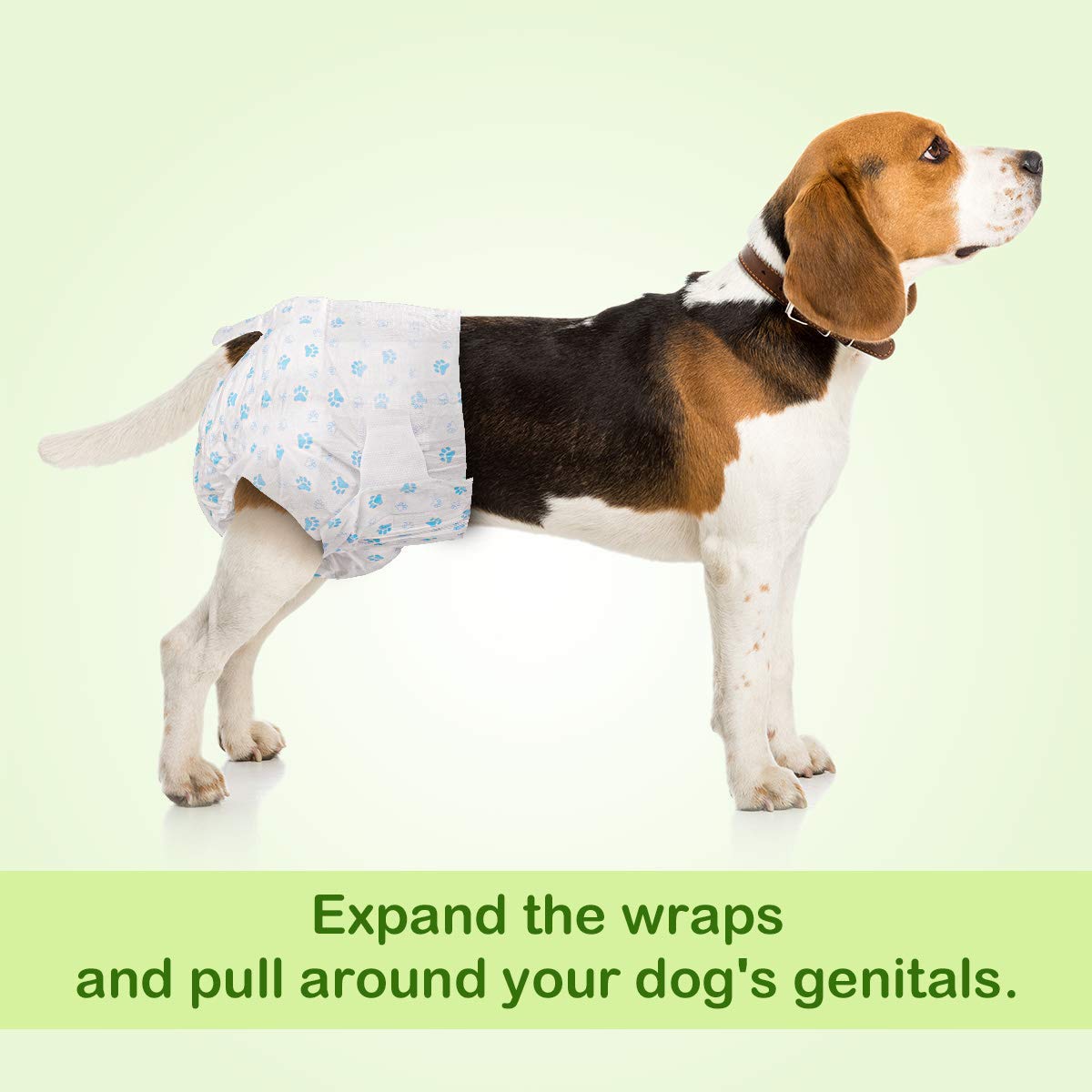 Disposable Pet Diapers