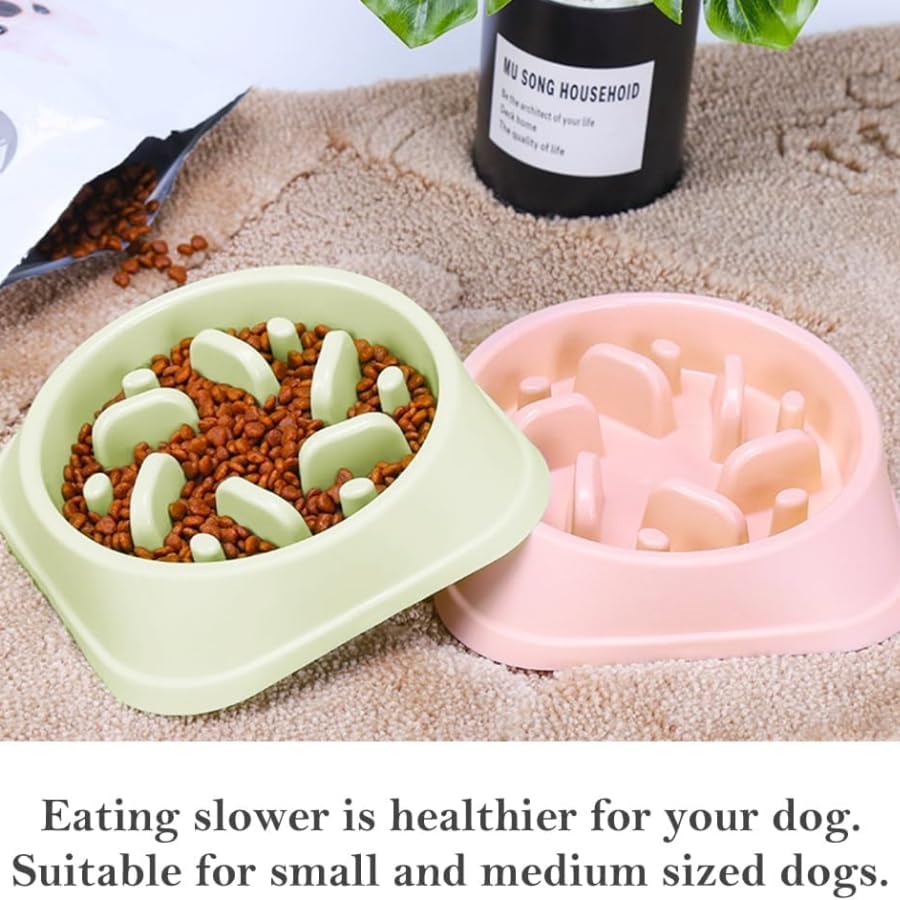 Slow Feeder Bowl