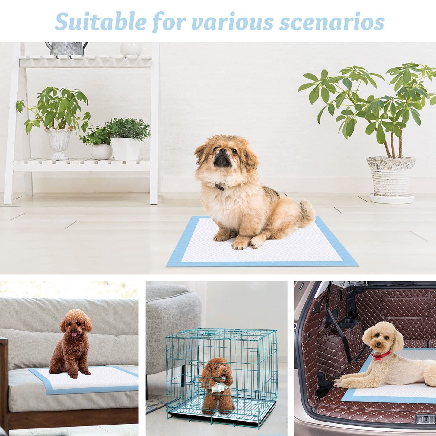 Pee & Potty Pet Training Pads