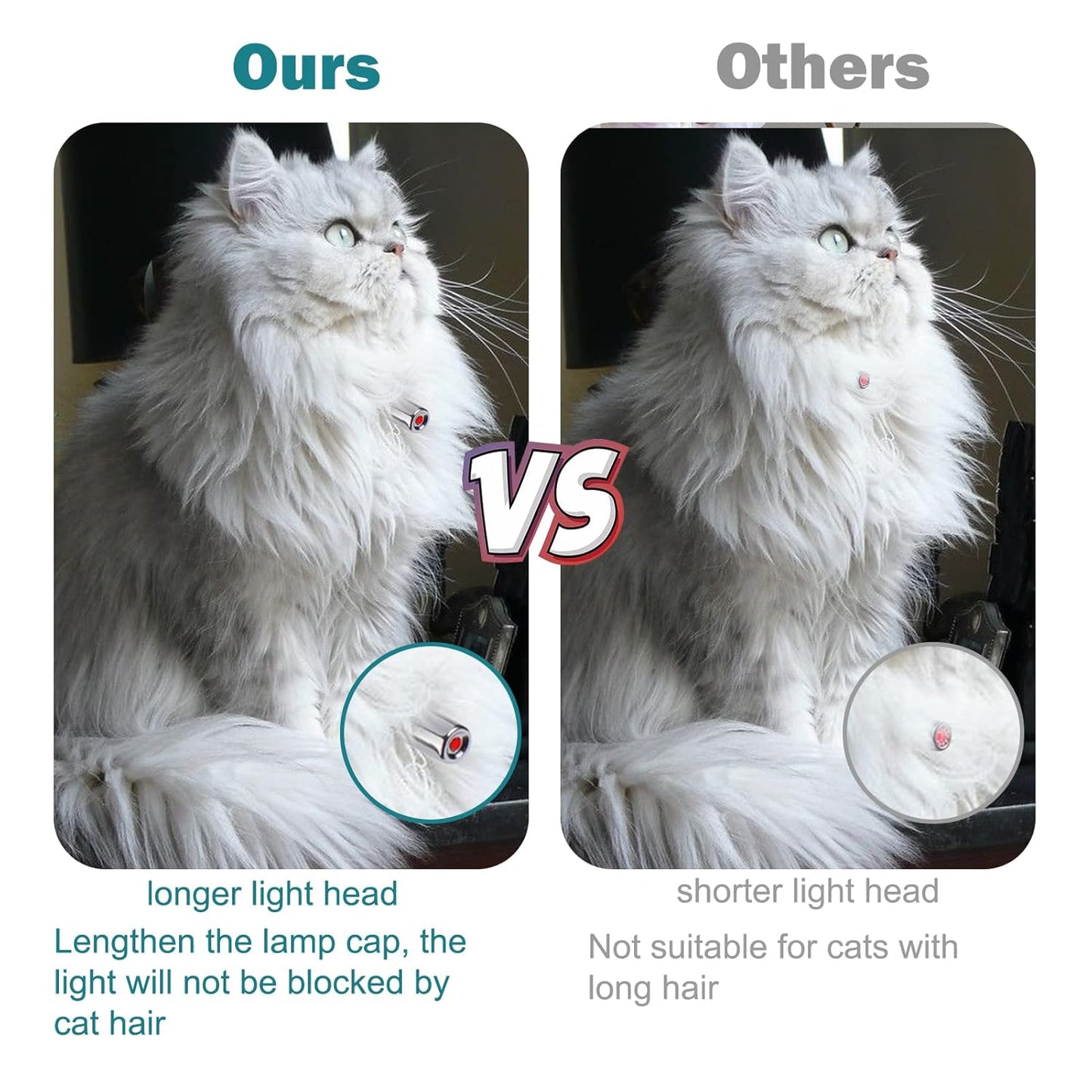 Cat Collar Toy with LED Lights