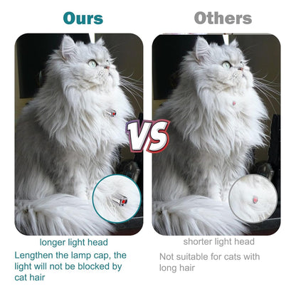 Cat Collar Toy with LED Lights