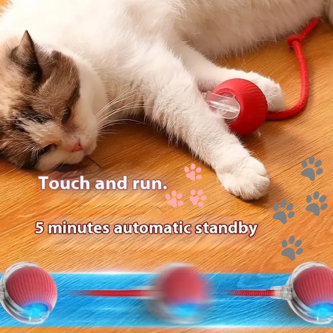 Pet Rolling Dancing Led Ball