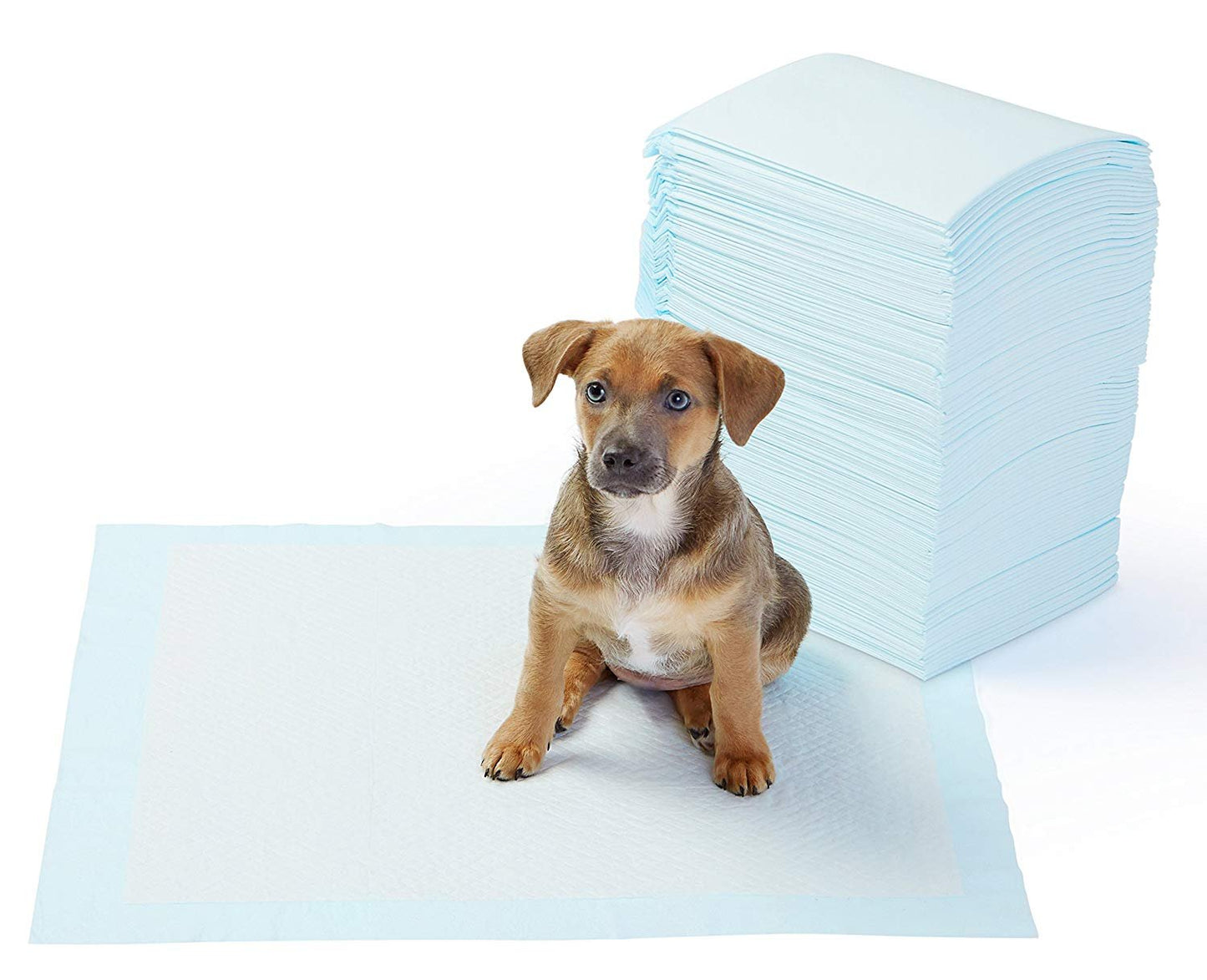 Pee & Potty Pet Training Pads