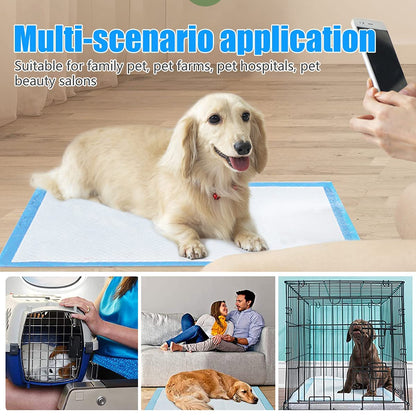 Pee & Potty Pet Training Pads