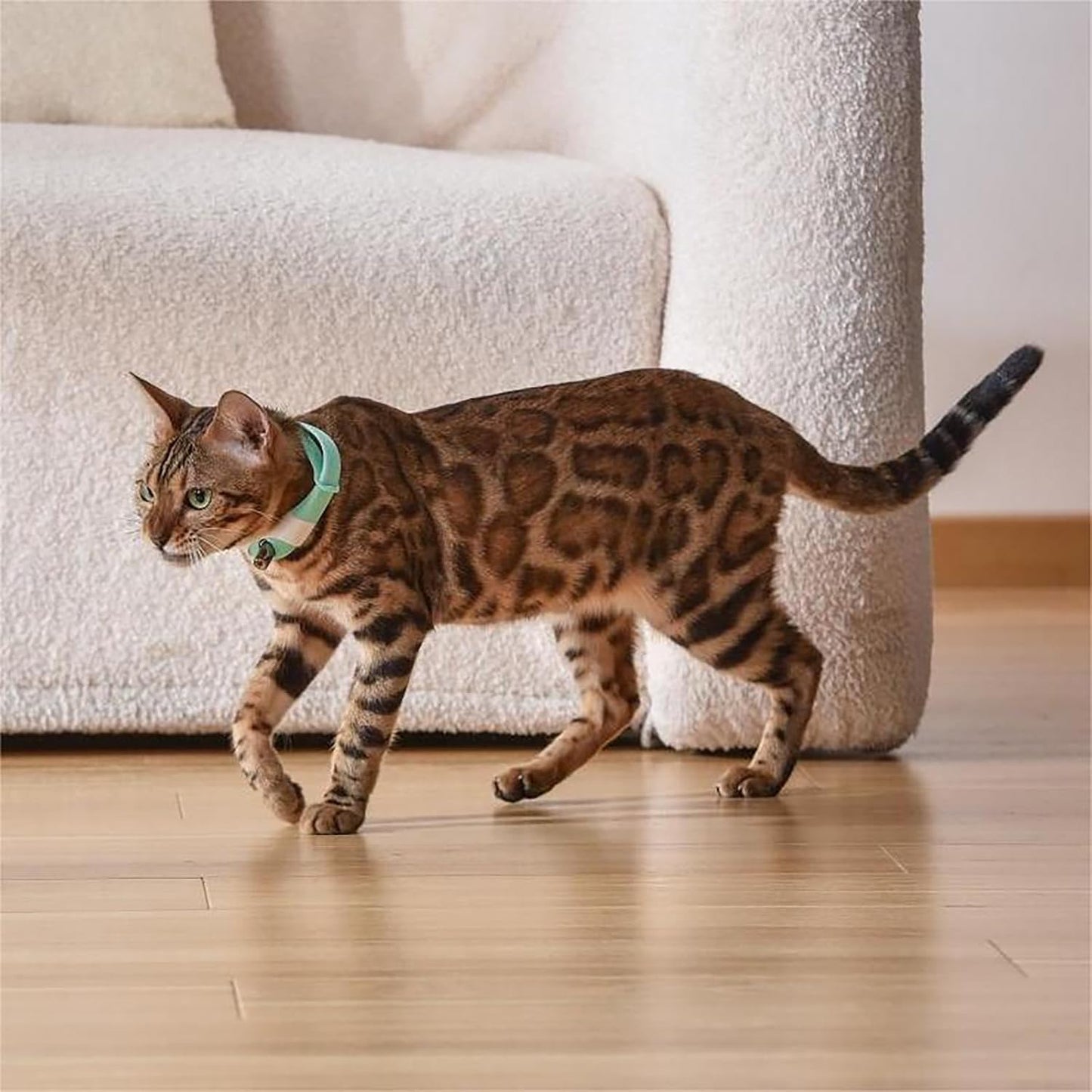 Cat Collar Toy with LED Lights