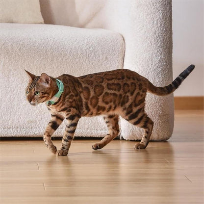 Cat Collar Toy with LED Lights