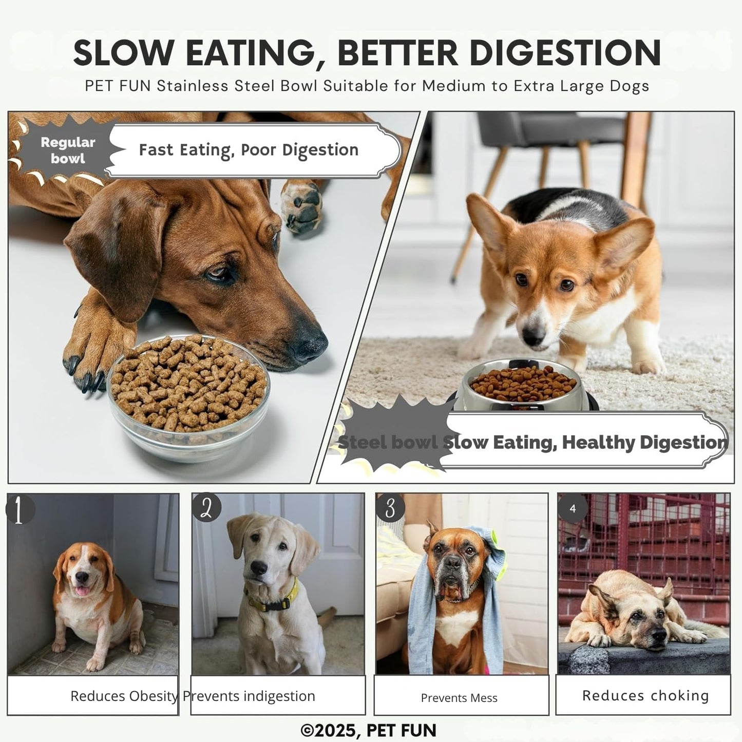 Stainless Steel Pet Feeding Bowl