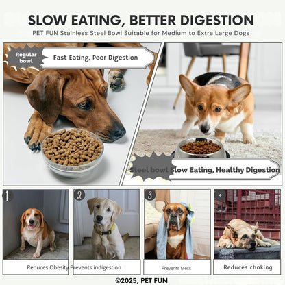 Stainless Steel Pet Feeding Bowl