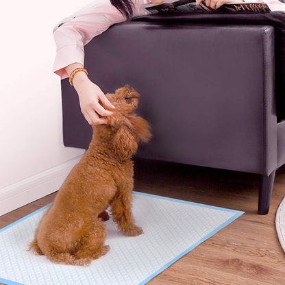 Pee & Potty Pet Training Pads