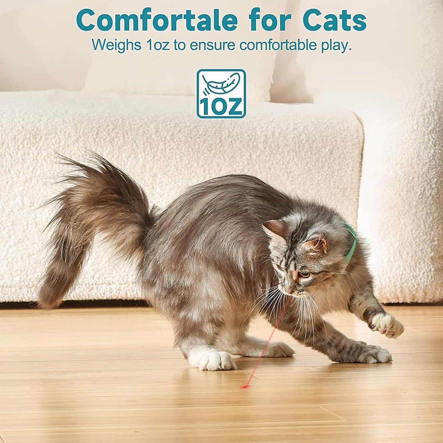Cat Collar Toy with LED Lights