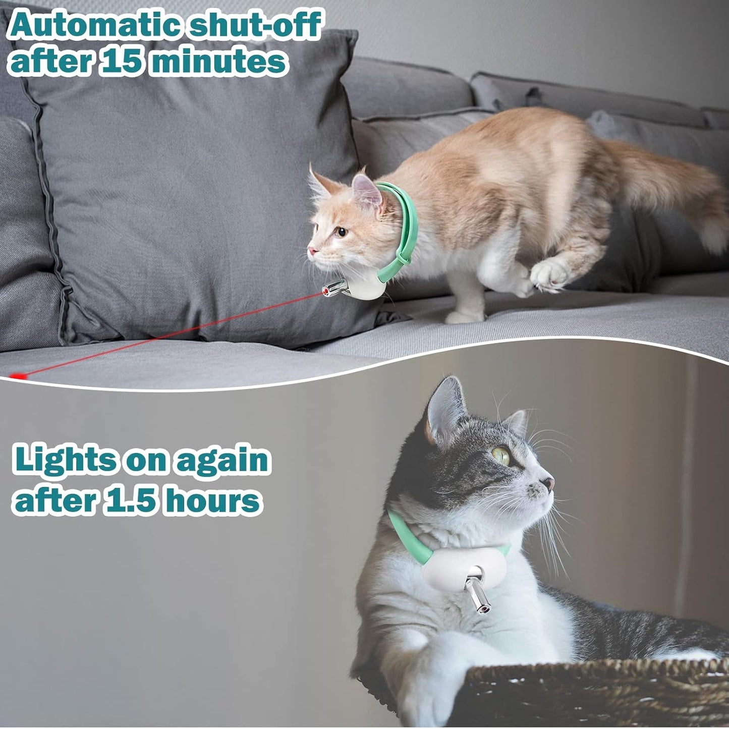 Cat Collar Toy with LED Lights