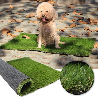 Artificial Grass Professional Dog Mat