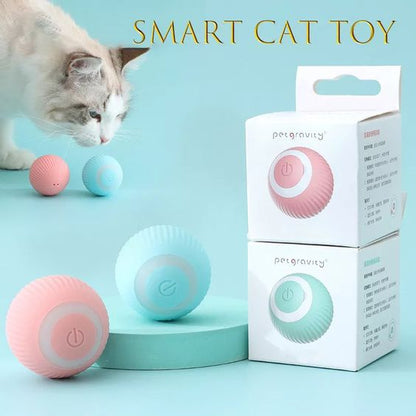 Pet Rolling Ball