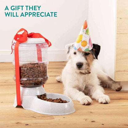 Pet Feeder Food Dispenser