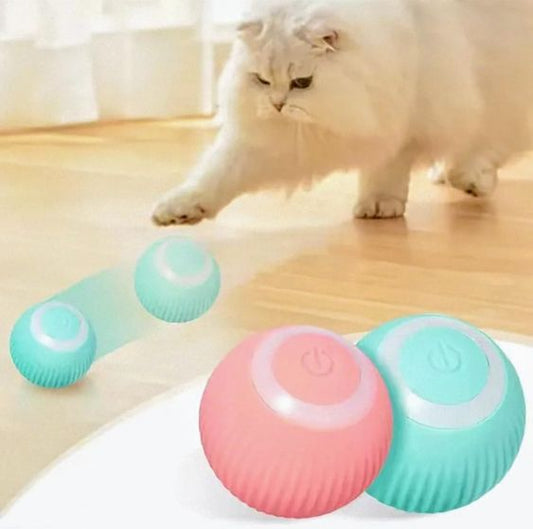 Pet Rolling Ball