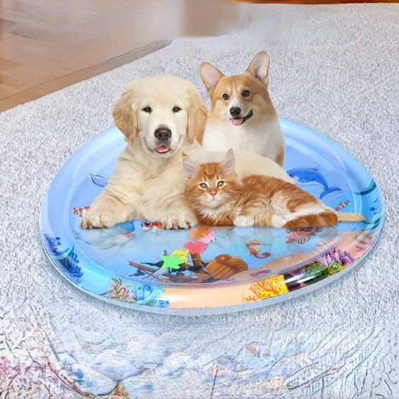 Pet Water Sensory Play Mat